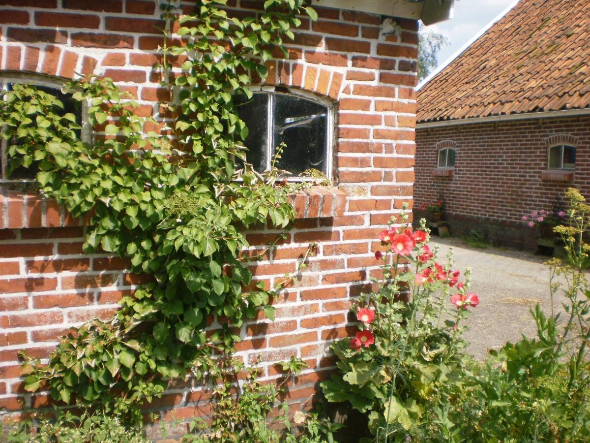 Pipowagen Lidewei Groningen Westerwolde Unieke Ligging Met Eigen Tuin En Vrij Uitzicht Over Veld Naar Natuurgebied Onstwedde Luaran gambar